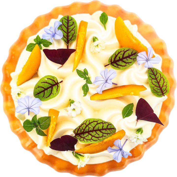 Entremet coco passion Indre-et-Loire